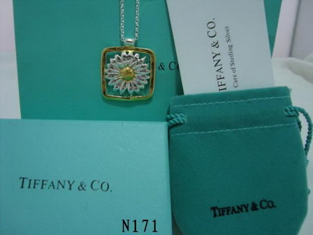 tiffany Necklace-043